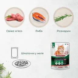Вологий корм для стерилізованих котів Morando Tradizioni Sterilized беззерновий шматочки в желе з лососем та тунцем 85 г - мініатюра 3
