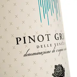 Вино Corte delle Rose Pinot Grigio delle Venezie DOC біле сухе 0.75 л - мініатюра 3