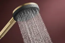 Ручний душ Hansgrohe Raindance Alive Select S EcoSmart brushed bronze 24511140 - мініатюра 4