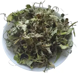 Ваточник сирійський Трава Asclepias syriaca - мініатюра 1