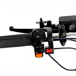 Триколісний сітікоко EVOBIKE Grizzly X3 Pro з вантажкою корзиною - мініатюра 4