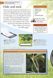 Bug Hunter. Nature Activities - мініатюра 4