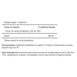 Холін Puritan's Pride Choline Bitartate Inositol 102 mg / 250 mg 100 капсул - мініатюра 2