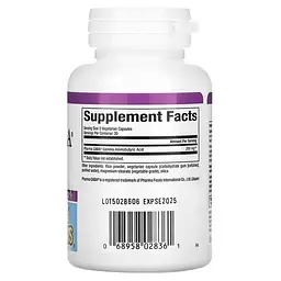 GABA Pharma GABA 100 mg 60 Capsules Natural Factors vit0006674 - мініатюра 2