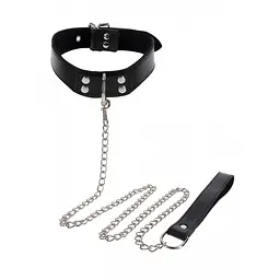 Нашийник на повідку Taboom - Elegant Collar and Chain Leash - мініатюра 3