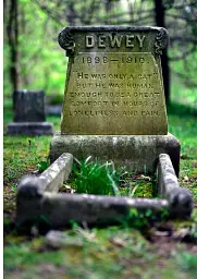 Faithful unto Death. Pet cemeteries, animal graves and eternal devotion - Пол Кудунаріс - мініатюра 21