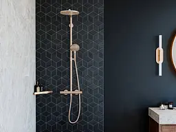 Поличка кутова Hansgrohe AddStoris 14.8 х14.8 x 30.5 см Brushed Black 41741340, Шліфований чорний хром - мініатюра 4