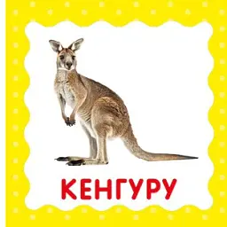 Дикі тварини. Перша книжка малюка - мініатюра 4
