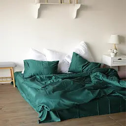 Комплект постільної білизни Євро розмір 200 x 220 см Emerald Смарагдовий - мініатюра 5