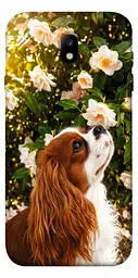 TPU чохол Demsky Flower spaniel для Samsung J730 Galaxy J7 (2017)