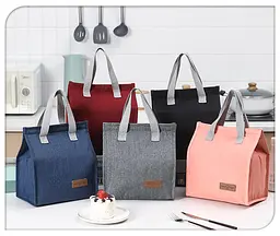Сумка для ланчу 22,5x13x25,5 см в асортименті