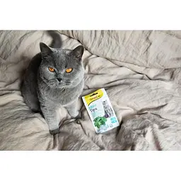 Ласощі для котів GimCat Mint Tips м'ята 40 г - мініатюра 5