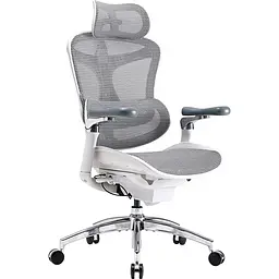 Крісло офісне Sihoo Doro C300 Pro Mesh White (DORO-C300-PRO-M102) - мініатюра 5