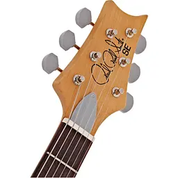 Електрогітара PRS SE Silver Sky Dragon Fruit [162720] - мініатюра 8