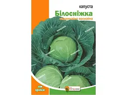 Капуста білоголова ЯСКРАВА Білосніжка максі (10 пачок) 10 г