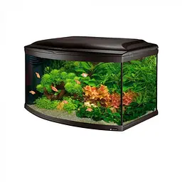 Акваріум Ferplast CAYMAN 80 SCENIC - 150 L 81.5 x 46 x h 52.5 cm