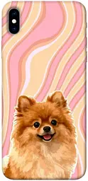 TPU чохол Demsky Pastel spitz для Apple iPhone XS Max (6.5")