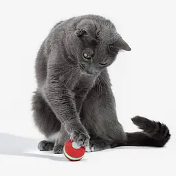 Розумний м'ячик для котів Cheerble Wickedball Mini Artificial Wool Red (C0419-R) [168098] - мініатюра 8