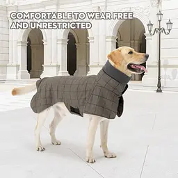 Стильне пальто для собак Wan Talk Stylish Cold Weather Coat, L - мініатюра 7