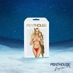 Адвент календар Satisfyer Premium Advent Calendar 2025 - мініатюра 4
