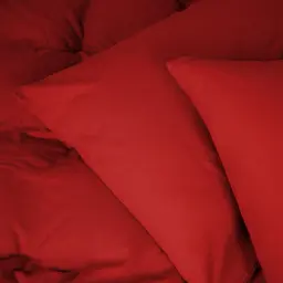 Комплект дитячої постільної білизни MirSon Фланель 009 Red 110х140 см червоний (2200009651601) - мініатюра 8