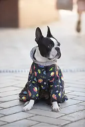 Комбінезон для собак Waudog Clothes, Рік та Морті 2, L50 - мініатюра 3