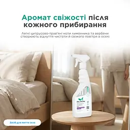 Засіб для миття скла DeLaMark Лимонник та вербена 0,5 л (4820152333735)