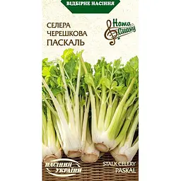Насіння селери черешкової Насіння України Паскаль 0.5 г (573000)