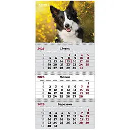 Календар настінний Axent Dogs 3 квартальний 2026 рік (8803-26-18-A)