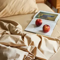 Підковдра MBM HOME Досвітня тиша 160x220 см бежева (BL-DC-39 WARM PEBBLE) - мініатюра 5