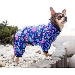 Вітровка для собак Waudog Clothes, Рік та Морти 1, XS30 - мініатюра 4