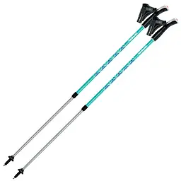 Палиці для скандинавської ходьби Gabel Ritmo 130 Сірий-Блакитний