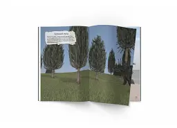 Книжка з наліпками. Динозаври - мініатюра 10