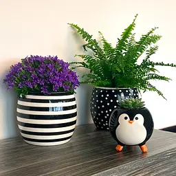 Ваза-кашпо МВМ My Home, 14,5 см, чорна з білим (DH-FLOWERS-27 WHITE/BLACK) - мініатюра 5