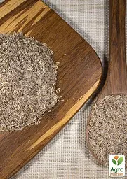 Насіння Agro-Market Салат Одеський кучерявець на вагу ціна за 7 г (13380) - мініатюра 3