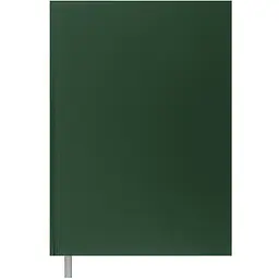Книга обліку Buromax Optimal А4 96 аркушів у клітинку зелена (BM.24411101-04)