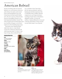 Encyclopedia of Cats - Джуліанна Фотопулос - мініатюра 2