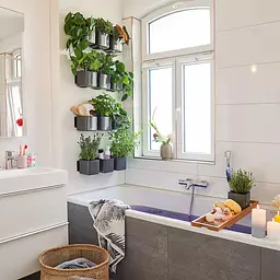 Комплект вазонів з кріпленням Lechuza Green Wall Home Kit Glossy 48х6х14 см антрацит (13524) - мініатюра 6