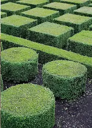 A Life in Garden Design - мініатюра 4
