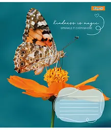 Набір зошитів 1 Вересня Butterfly А5 в клітинку 36 аркушів 15 шт. (767323) - мініатюра 2