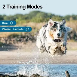 Нашийник Wellturnpet B800/B801 - мініатюра 6