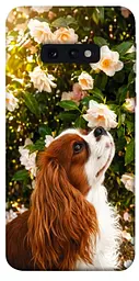 TPU чохол Demsky Flower spaniel для Samsung Galaxy S10e