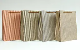 Пакет паперовий Смуги 20×25×13,5 см набір 12 шт (281731)