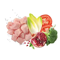 Сухий корм Exclusion Adult Chicken Medium Breed для собак середніх порід з куркою 3 кг - мініатюра 2