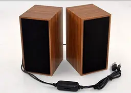 Комп'ютерні колонки акустика 2.0 USB 6 Вт (3W*2) FnT FT-101 дерево