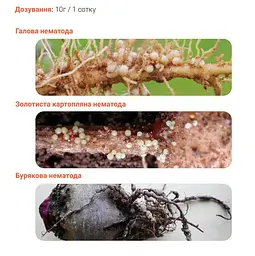 Нематоцид Insecta 10г - мініатюра 2