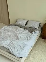 Постельное белье евро Dushka Home 21591 200х220 см