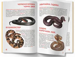 Велика книжка. Отруйні змії - мініатюра 3