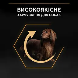 Сухий корм для дорослих собак дрібних порід Purina Pro Plan Adult Small & Mini, з куркою, 7 кг (12376022) - мініатюра 5