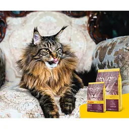 Сухий корм для кішок Josera Senior 400 г (4032254757818) - мініатюра 7